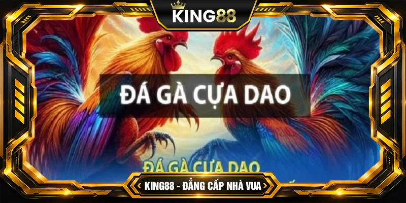 Đá Gà Cựa Dao – Kinh nghiệm đá gà bách chiến bách thắng Đá Gà Cựa Dao – Kinh nghiệm đá gà bách chiến bách thắng